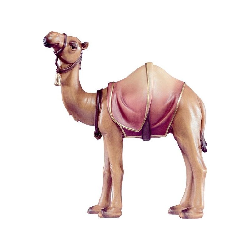 Camel Artis