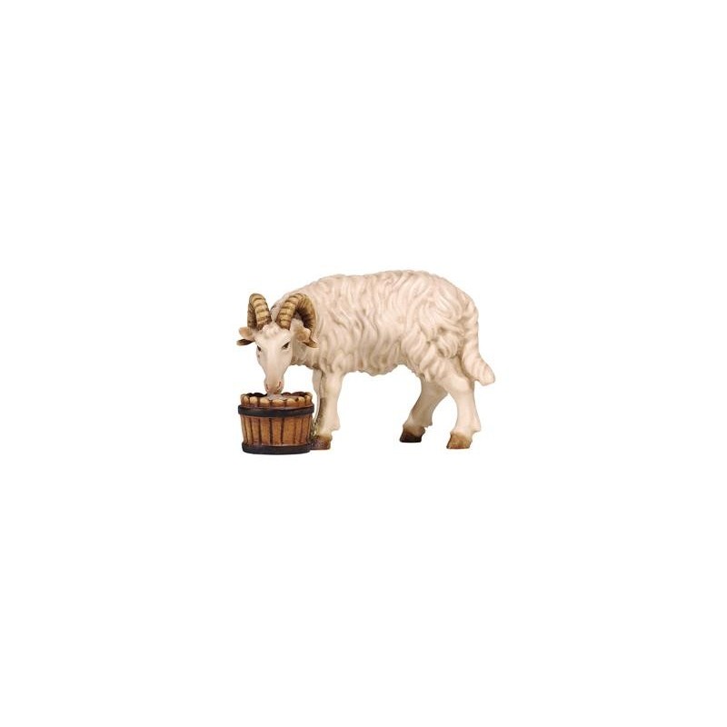 HE Ram with bucket