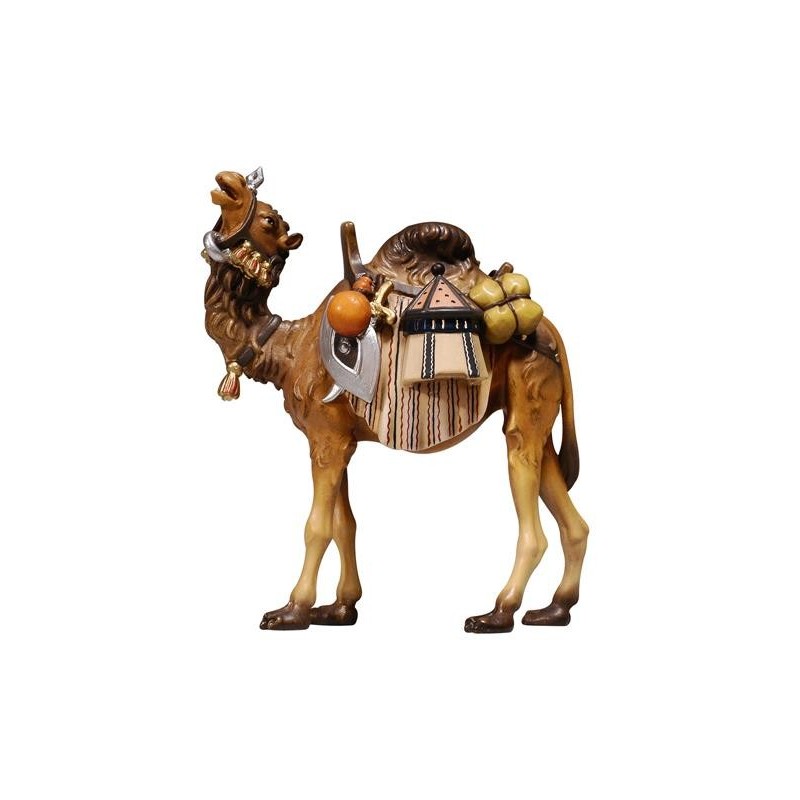 HE Camel with luggage