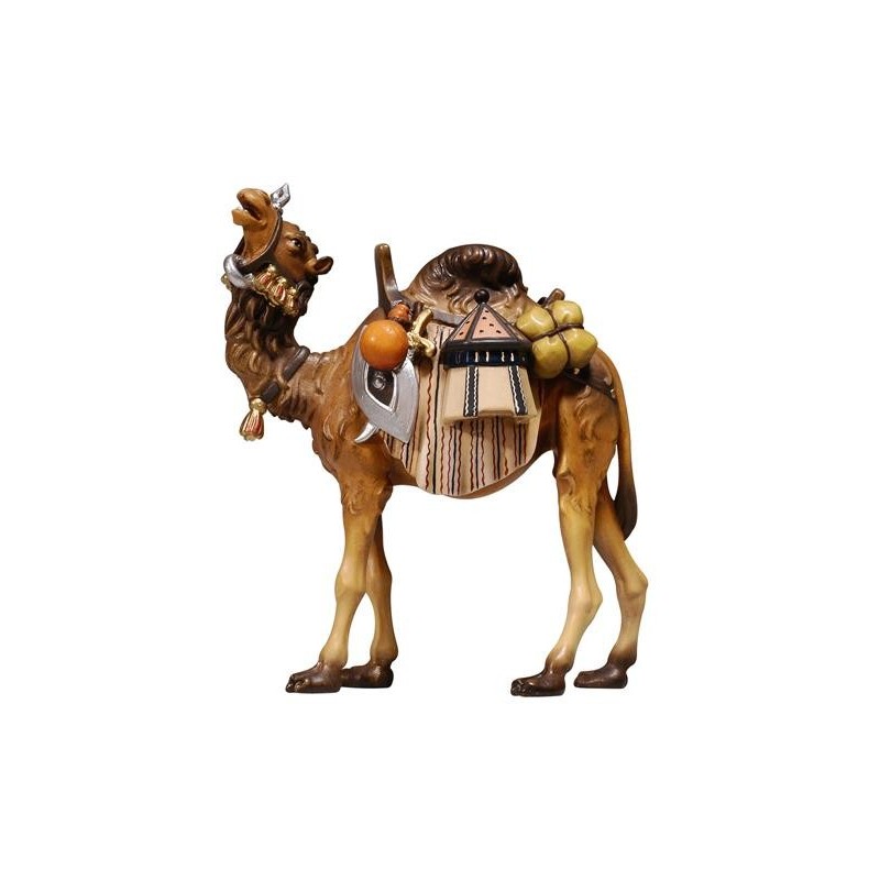 HE Kamel mit Gepäck