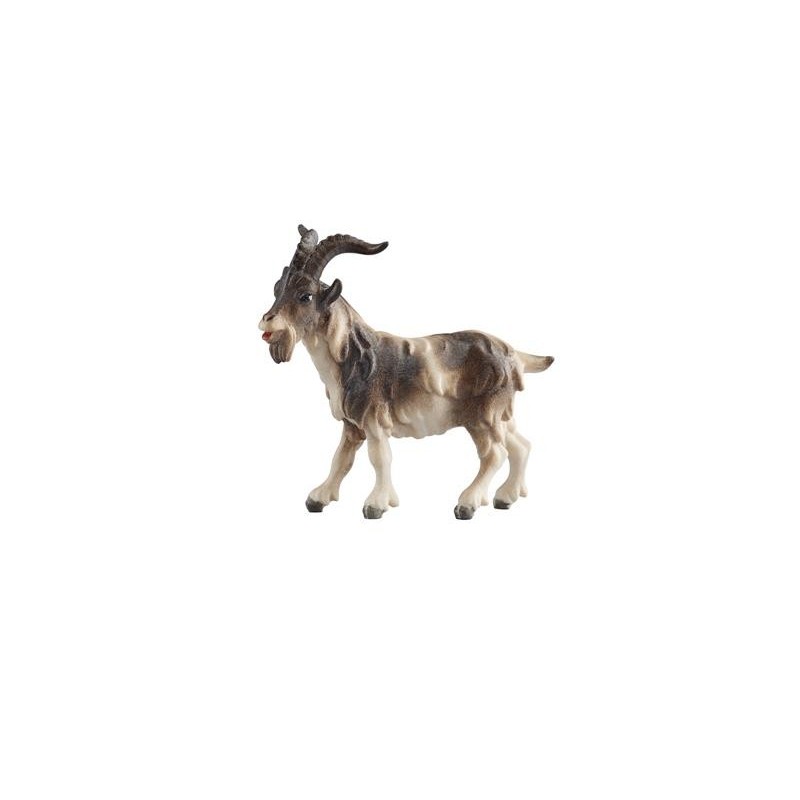 HE Billy goat