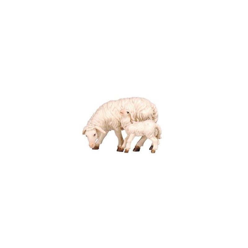 HE Schaf äsend mit Lamm