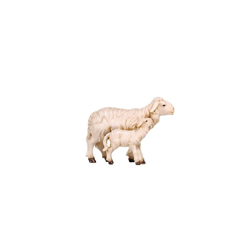 HE Sheep with lamb standing