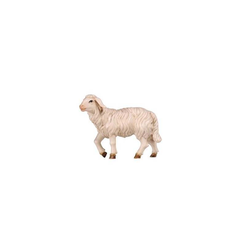 KO Sheep standing head up