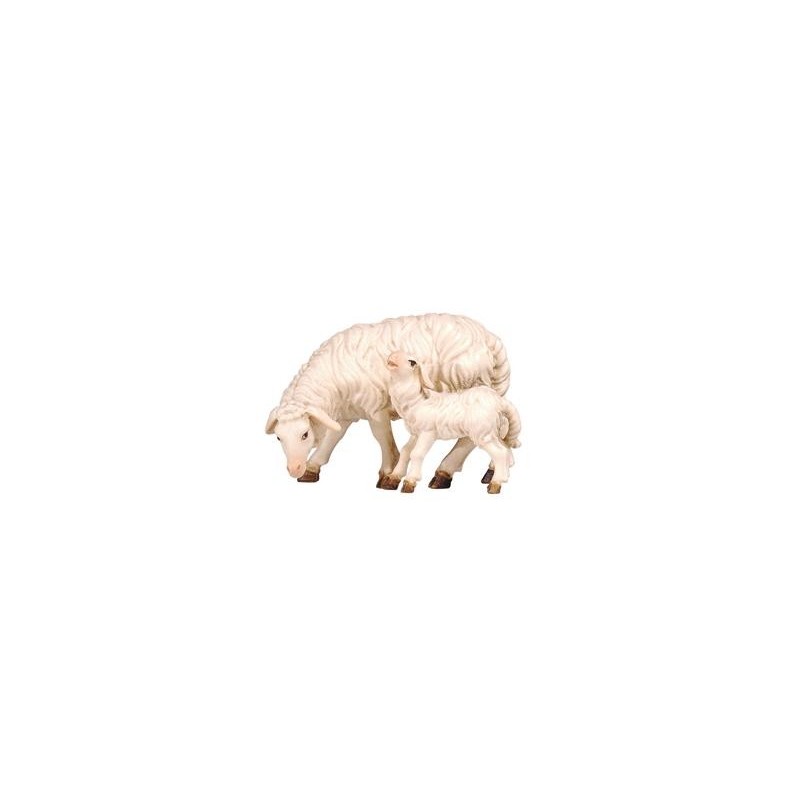 MA Sheep grazing with lamb