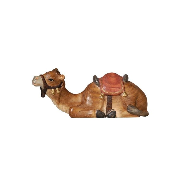 PE Camel lying
