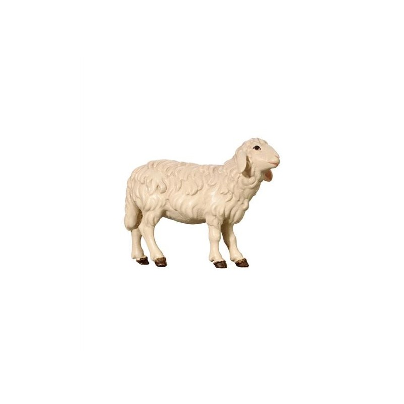 SI Sheep standing