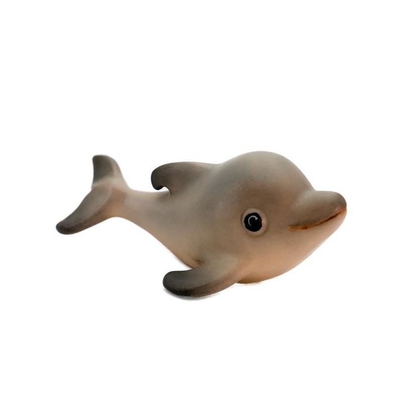 Dolphin baby Flipper