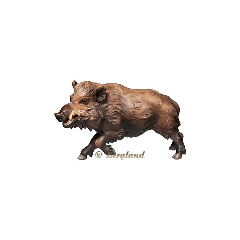 Wild boar