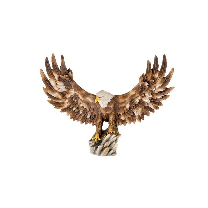 Weisskopfadler offene Flügel