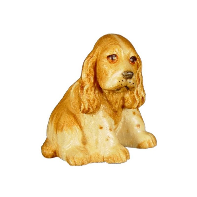 Cocker Spaniel