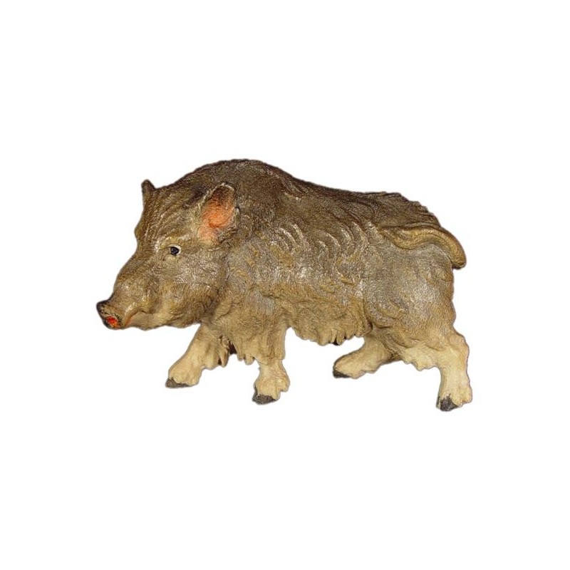 Cinghiale