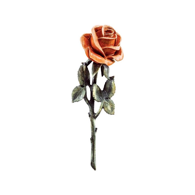 Orange rose