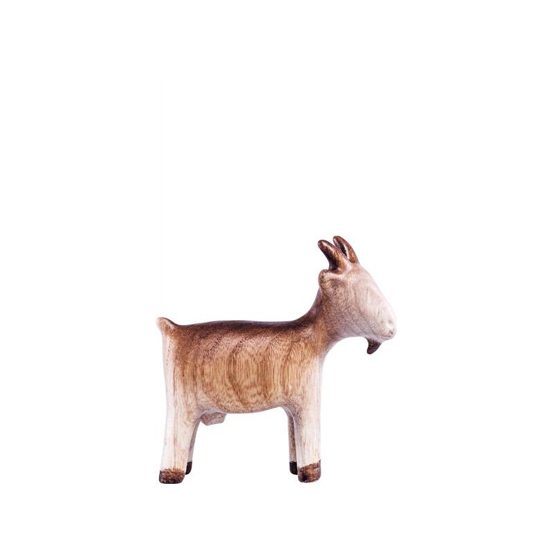 Goat Fides nativity