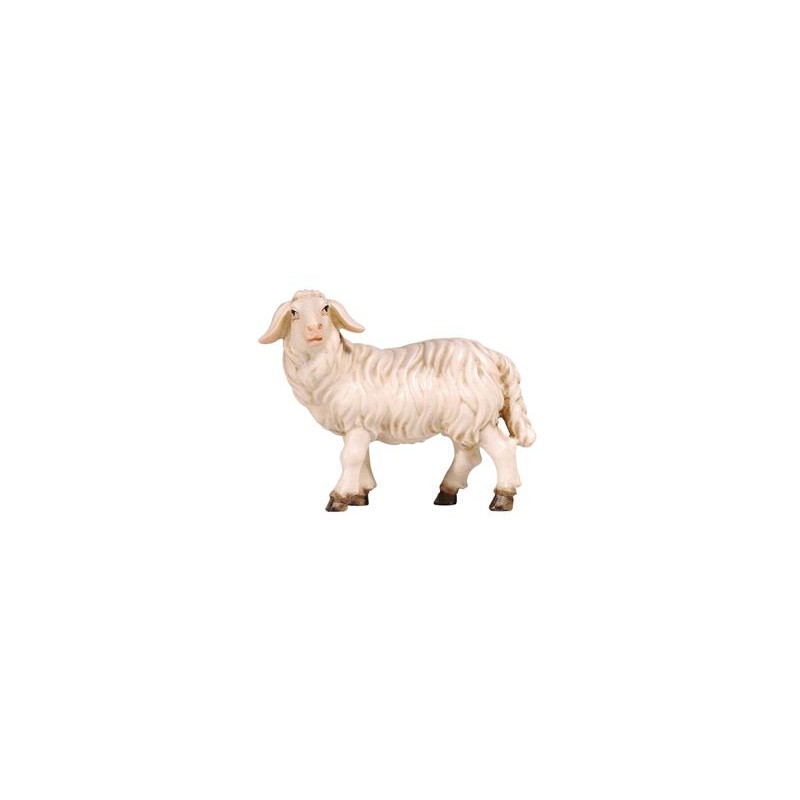 HE Sheep standing looking left
