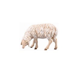 IN Sheep eating left