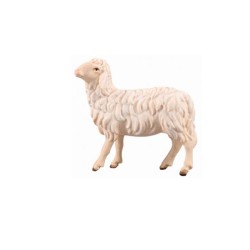 IN Sheep looking left