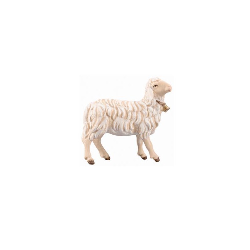 IN Schaf rechtsschauend