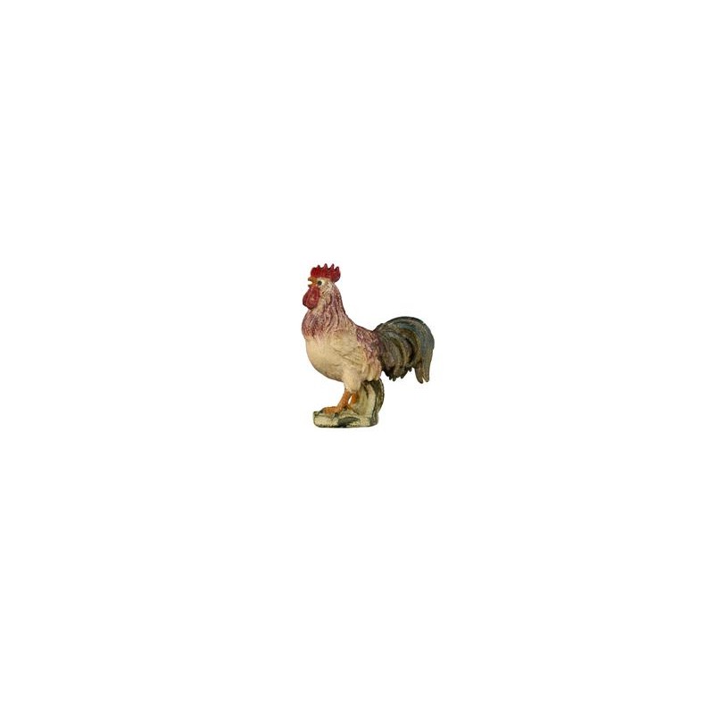 KO Rooster