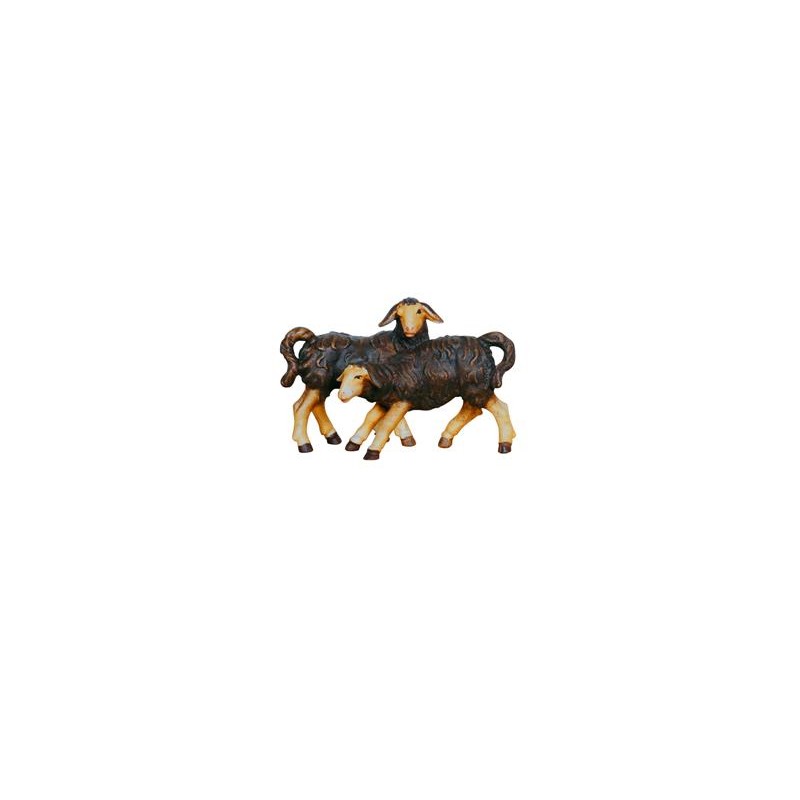 KO Group of lambs black