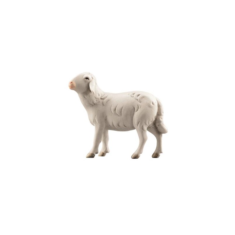 LI Sheep looking left