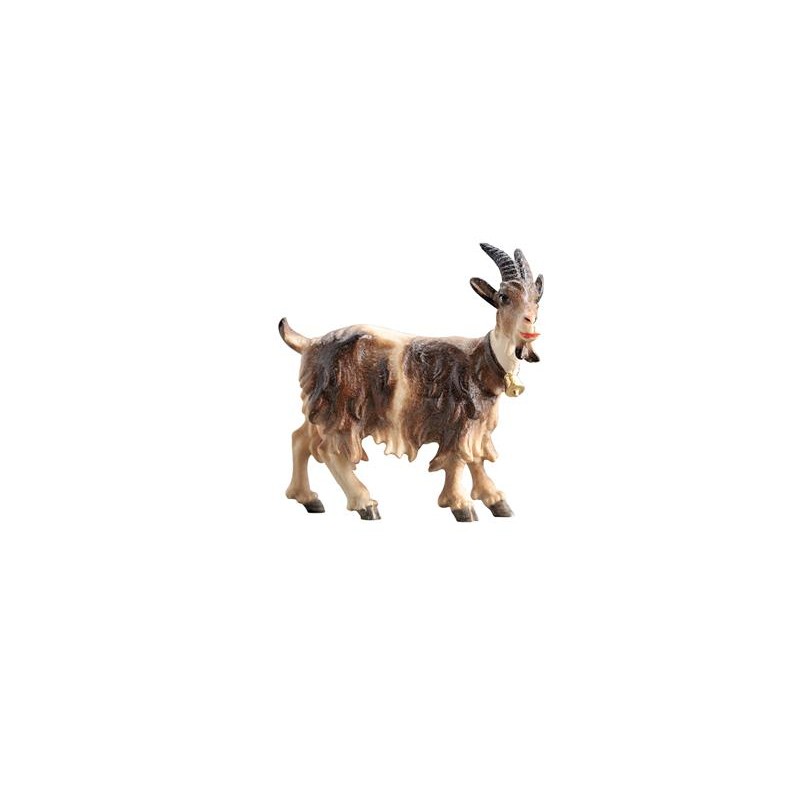 MA Goat with bell looking...