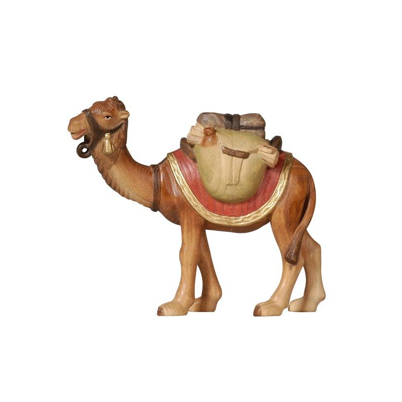 PE Camel with luggage