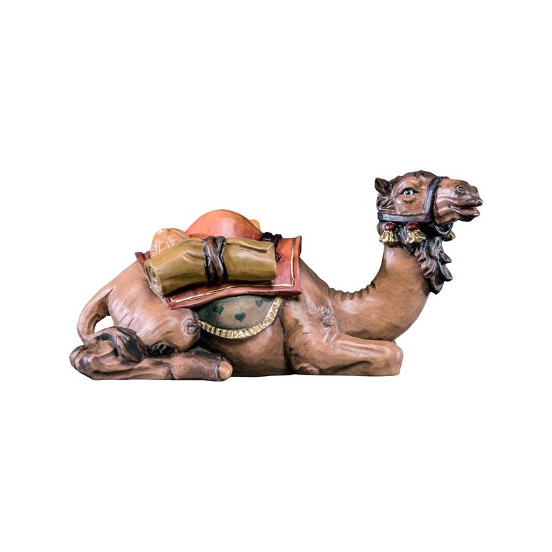 Camel lying R.K.