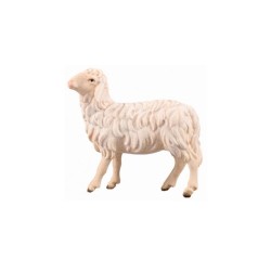 SI Pecora guardante sinistra