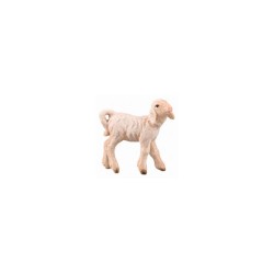 SI Lamb looking right