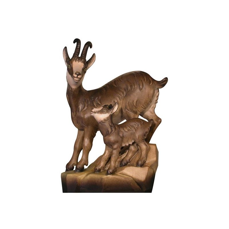 Femmina camoscio con piccolo