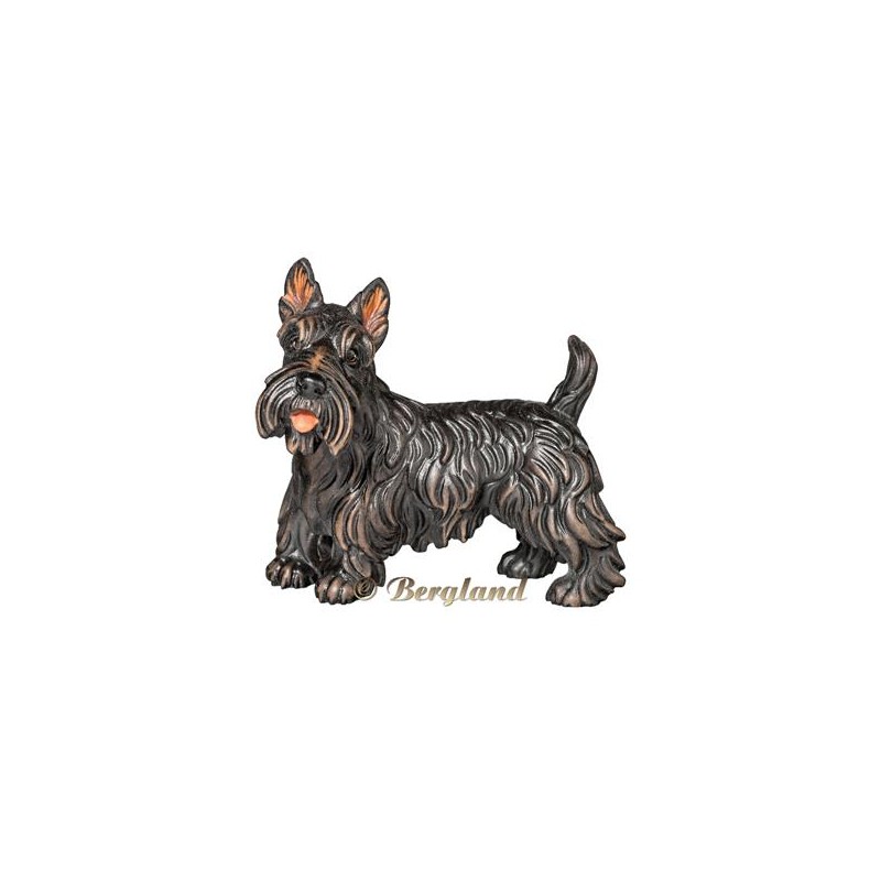 Scottish Terrier