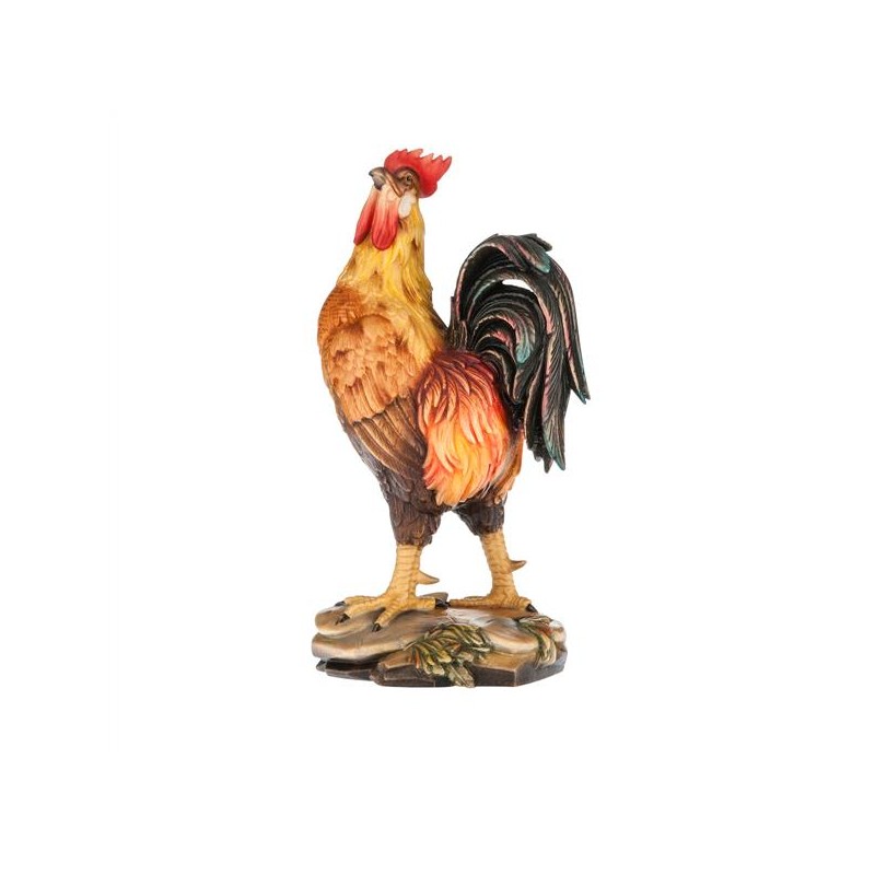rooster