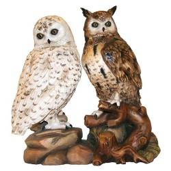 owls group