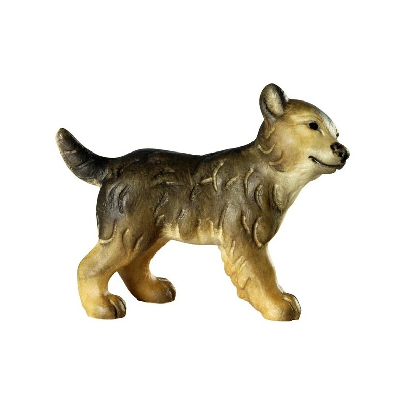 Cucciolo di lupo in piedi