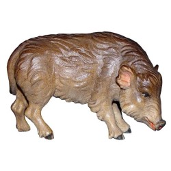 Cinghiale femmina