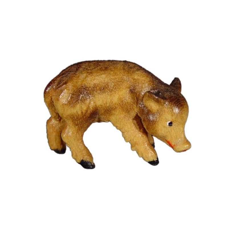 Young wild boar eating