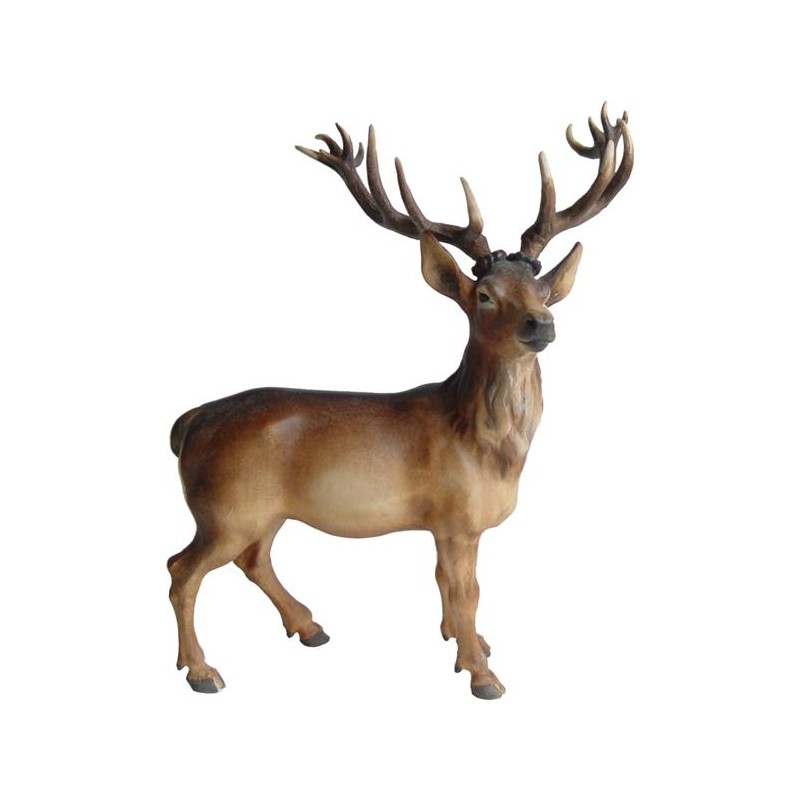 Stag