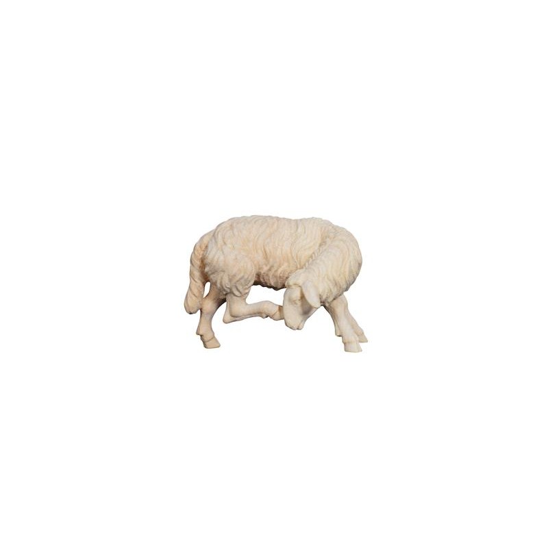 ZI Sheep scratching