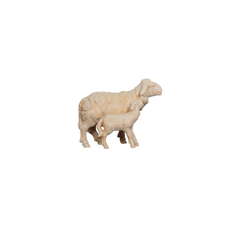 ZI Sheep with lamb standing