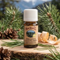 Swiss Pine (Stone Pine) essential oil bottle on wood with pine cones, needles, wood shavings, and mountain background